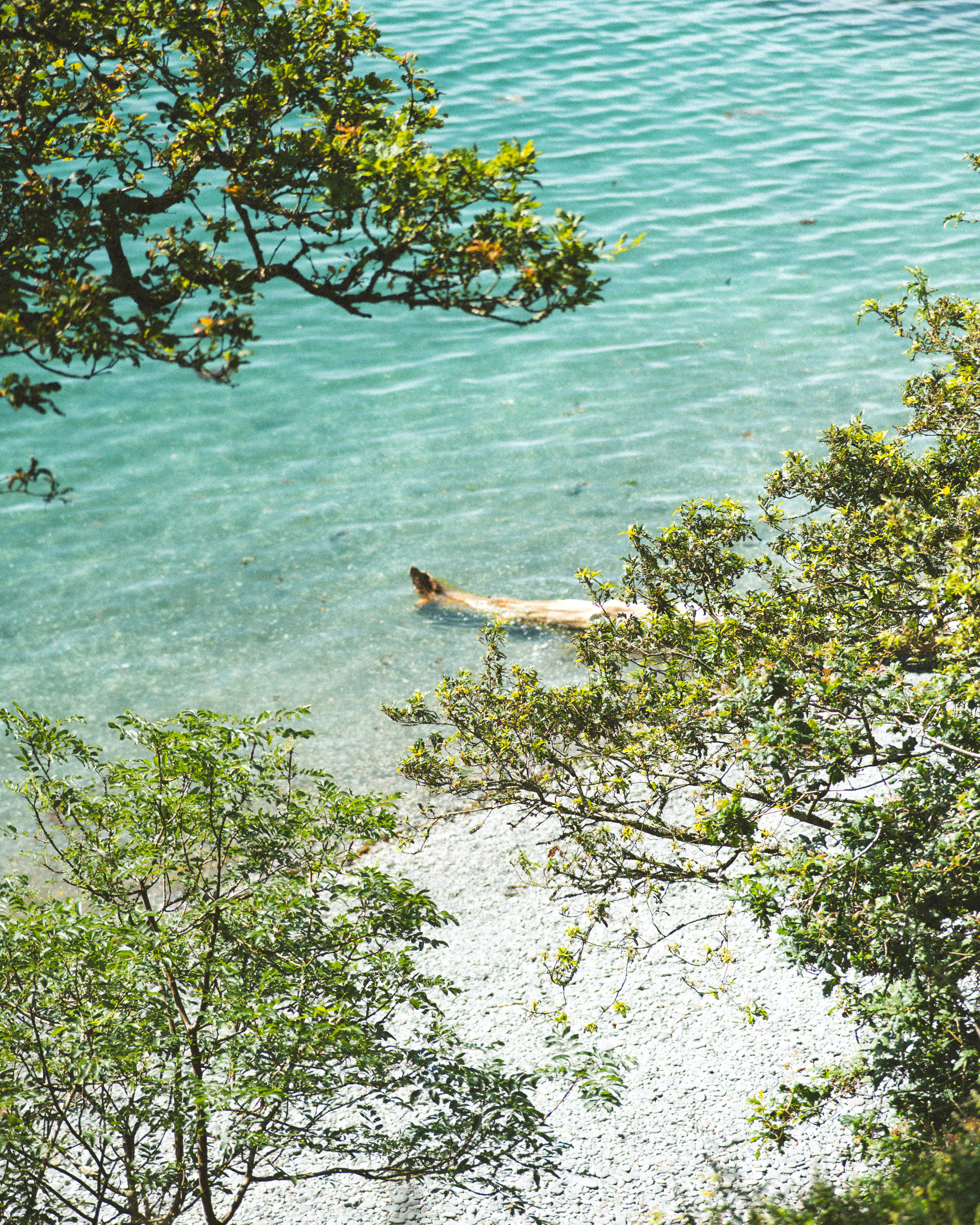 Landscape photo of grebe beach