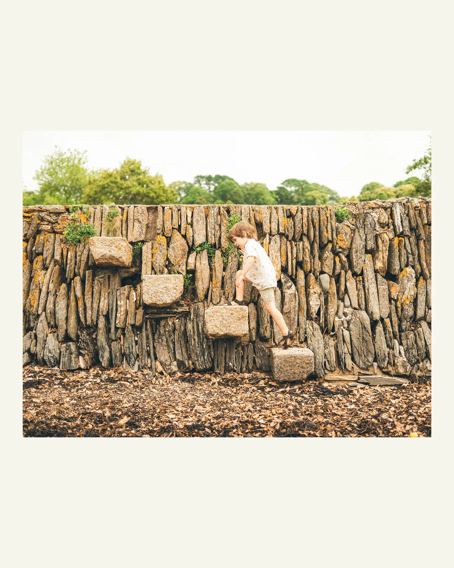 Young boy climbing the stone steps of a garden wall at Trelissick Gardens