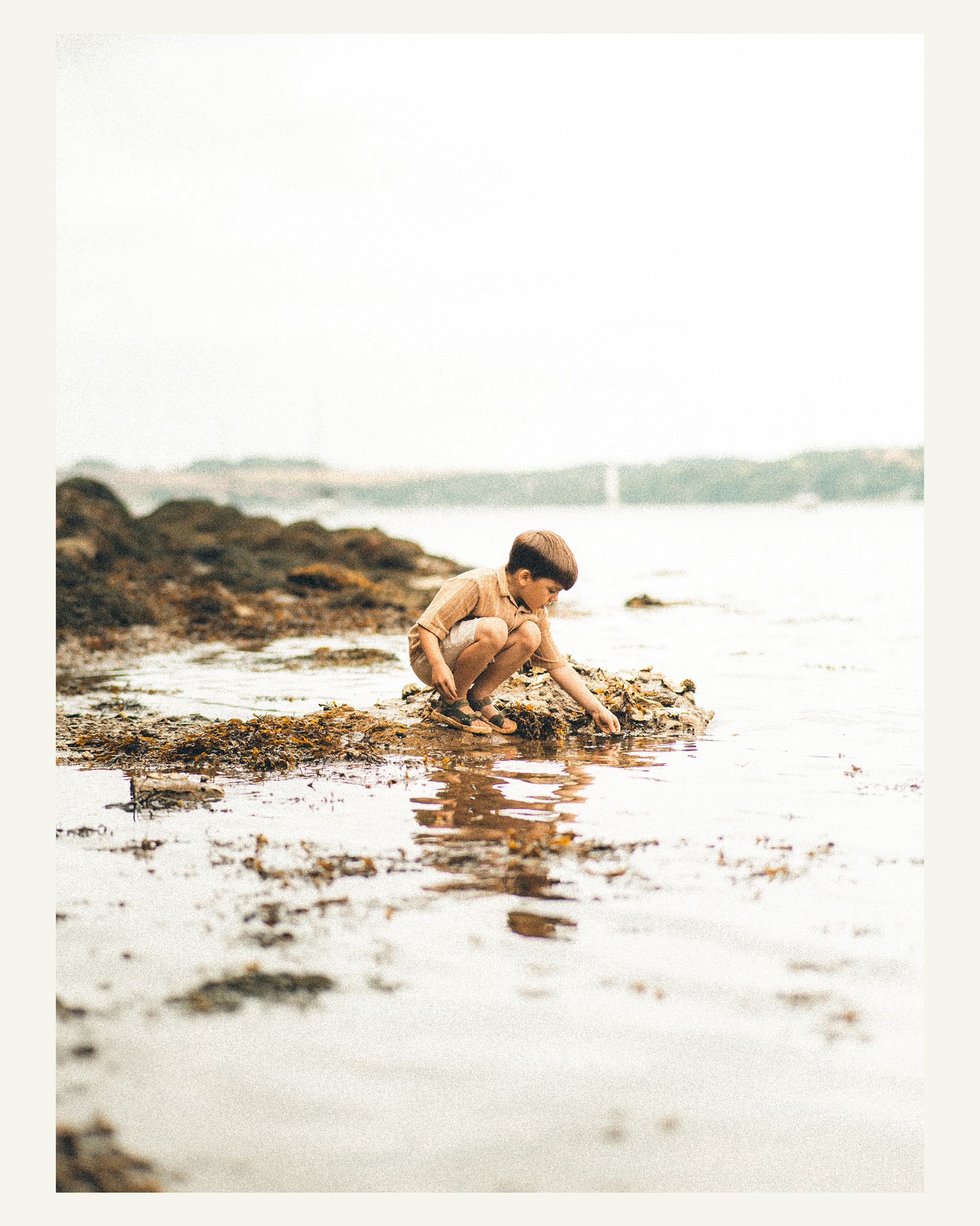 Young boy crouching beside the water and exploring the rocky shoreline at Trelissick Gardens