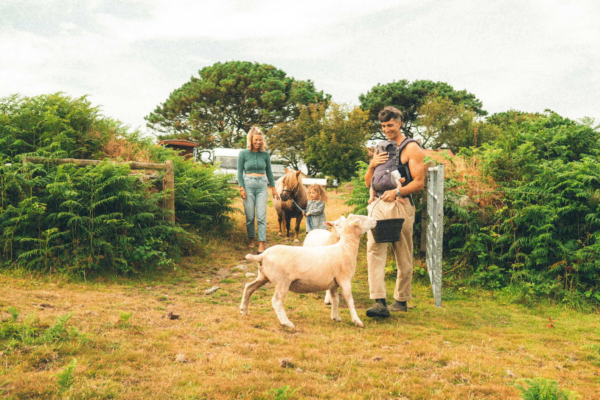 Family with their baby, young daughter, pony and sheep at home on the moorland near St Ives